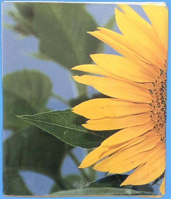 Sunflowers: A Little Treasury of Joy Sale