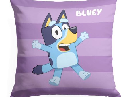 Bluey Roll Call Bluey Throw Pillow 18x18 Inches Online