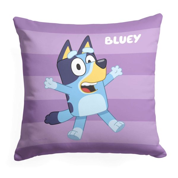 Bluey Roll Call Bluey Throw Pillow 18x18 Inches Online