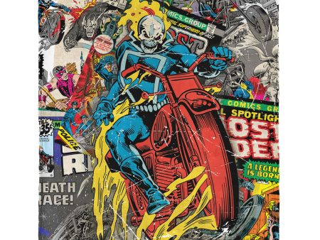 Marvel Ghost Rider Comic Silk Touch Throw Blanket 50×60 Inches Online