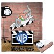 Warner Bros. WB 100 Since 1923 Silk Touch Throw Blanket 50x60 Inches on Sale