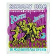 Warner Bros. Scooby-Doo Haunted Crystal Cove Silk Touch Throw Blanket 50x60 Inches Supply