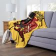 Warner Bros. The Flash Batman And Flash Silk Touch Throw Blanket 50x60 Inches Online Sale