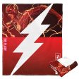 Warner Bros. The Flash Lightening Strike Silk Touch Throw Blanket 50x60 Inches Online