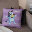 Bluey Roll Call Bluey Throw Pillow 18x18 Inches Online