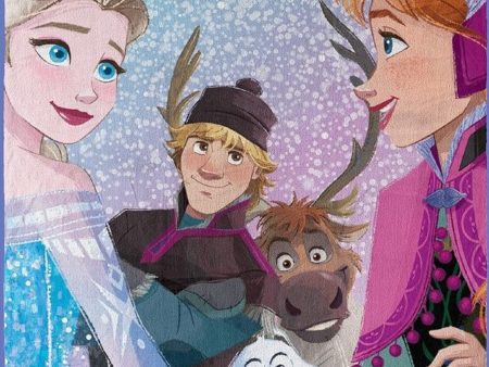 Disney Frozen 2 New Family Micro Raschel Throw Blanket 46x60 Inches For Sale