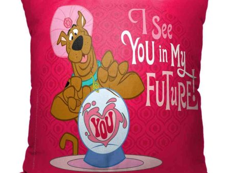 Warner Bros. Scooby-Doo You In My Future Throw Pillow 18x18 Inches Sale