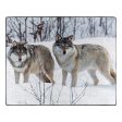 American Wilderness Collection Winter Wolves Wilderness Raschel Throw Blanket 50x60 Inches Online Sale