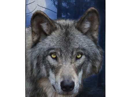 American Wilderness Collection Lupine Stare Wilderness Raschel Throw Blanket 60x80Inches Online Sale