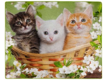 American Wilderness Collection Basket of Kittens Wilderness Raschel Throw Blanket 50x60 Inches Online Sale