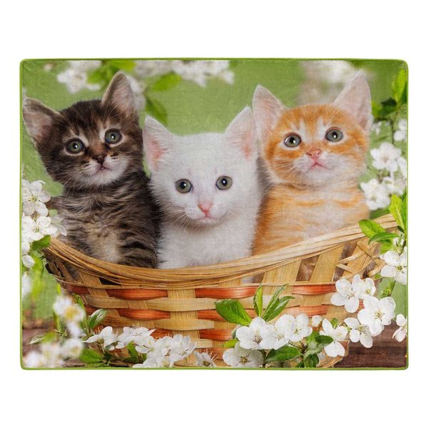 American Wilderness Collection Basket of Kittens Wilderness Raschel Throw Blanket 50x60 Inches Online Sale