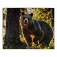 American Wilderness Collection Morning Stroll Wilderness Raschel Throw Blanket 50x60 Inches Fashion