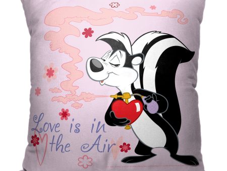 Warner Bros. Looney Tunes Lovely Air Throw Pillow 18x18 Inches Sale