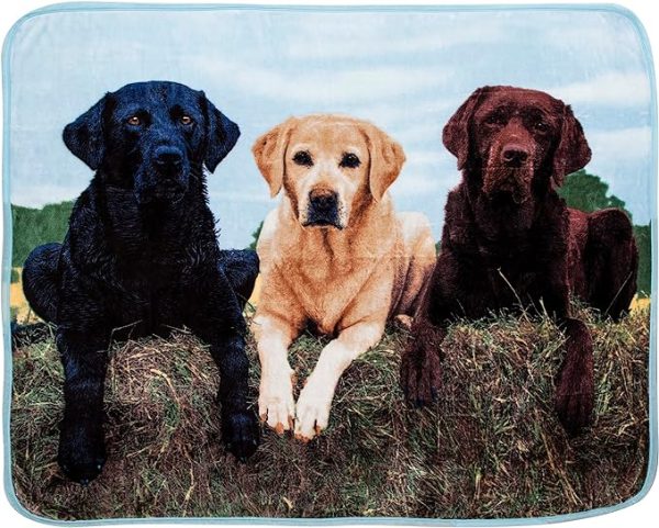 3 Friends Wilderness Raschel Throw Blanket 60x80 Inches Discount