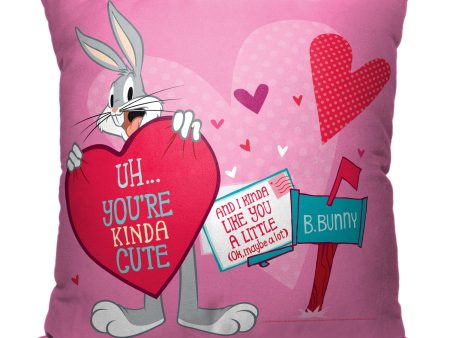 Warner Bros. Looney Tunes Looney Love Letter Throw Pillow 18x18 Inches Supply