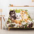 American Wilderness Collection Basket of Kittens Wilderness Raschel Throw Blanket 50x60 Inches Online Sale