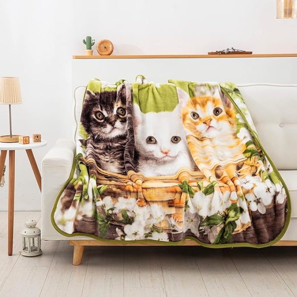 American Wilderness Collection Basket of Kittens Wilderness Raschel Throw Blanket 50x60 Inches Online Sale