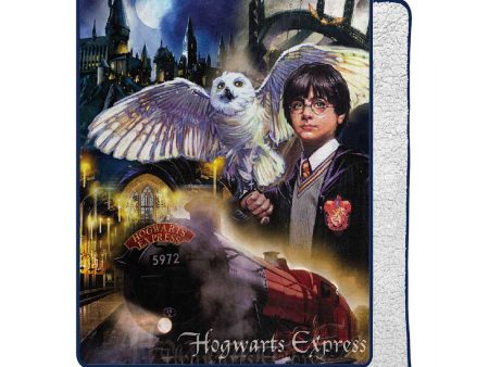 Warner Bros. Harry Potter Magic Montage Silk Touch Sherpa Blanket 60x80Inches Supply