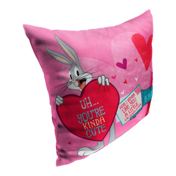 Warner Bros. Looney Tunes Looney Love Letter Throw Pillow 18x18 Inches Supply